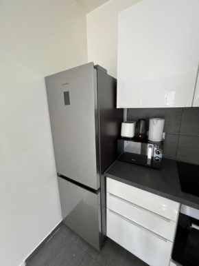Luxury Apartment Near Paris
